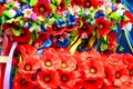 Traditional ukrainian female head-dress garlands