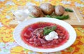 Traditional Ukrainian hot soup borsch