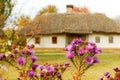 Traditional ukrainian rural cottage with a straw roof Royalty Free Stock Photo