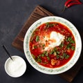 Traditional ukrainian russian traditional beet red soup - borscht Royalty Free Stock Photo