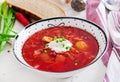 Traditional Ukrainian Russian borscht with white beans on the bowl.