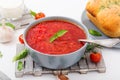 Traditional Ukrainian Russian vegetable borscht soup Royalty Free Stock Photo