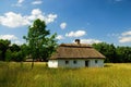 Traditional ukrainian village house