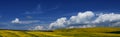 A traditional Ukrainian yellow-blue landscape yellow fields and blue sky with clouds