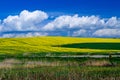 A traditional Ukrainian yellow-blue landscape yellow fields and blue sky with clouds