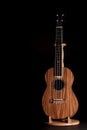 Traditional ukulele. Wooden Uke folk instrument on stand. Royalty Free Stock Photo