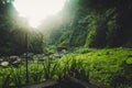 A traditional Umbrella on the path way to Madakaripura Waterfall Royalty Free Stock Photo