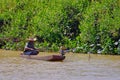 Traditional unrecognizable fisherman in boat on the Rio Paraguay river, Pantanal, near Corumba, Mato Grosso Do Sul