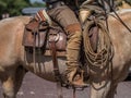 Traditional Vaquero Outfit Royalty Free Stock Photo