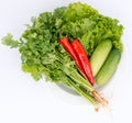 Traditional Vegetables for food in Thailand Royalty Free Stock Photo