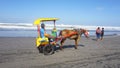 traditional vehicles on the beach