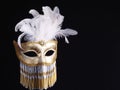 Traditional Venetian Carnival Mask. Royalty Free Stock Photo