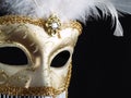 Traditional Venetian Carnival Mask. Royalty Free Stock Photo