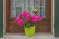 Traditional Venetian wondow with flowers in the pot