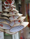 Traditional Vietnamese cone hats