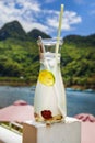 Traditional Vietnamese lime juice with cinnamon and mint chilled against the background of the river and Phongn National Park - Royalty Free Stock Photo