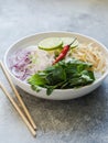 Traditional Vietnamese soup- pho ga in white bowl with chicken and rice noodles, mint and cilantro, green and red onion, chili, Royalty Free Stock Photo