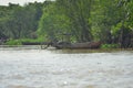 Vietnamese wooden fishing boats moored in the jungle by a muddy river.