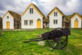 Traditional viking house