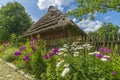 Traditional village house with blue sky, green grass, fence and trees. Ukraine. Royalty Free Stock Photo