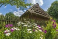 Traditional village house with blue sky, green grass, fence and trees. Ukraine. Royalty Free Stock Photo