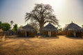Traditional village houses with a boabab tree in the background, Senegal, Africa Royalty Free Stock Photo