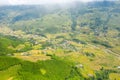 The traditional village on the mountainsides with tropical forests with green and yellow rice terraces, in Asia, Vietnam, Tonkin,