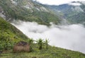 A traditional village in Papua