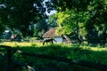 Traditional village in Poland. Open Air Museum. Wooden houses. Wooden folk architecture from different areas of the Lublin