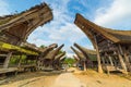 Traditional village of residential buildings with decorated facade and boat shaped roofs. Tana Toraja, South Sulawesi, Indonesia. Royalty Free Stock Photo