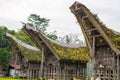 Traditional village of Tana Toraja, Indonesia Royalty Free Stock Photo
