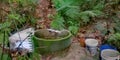 Traditional village well in secondary rainforest