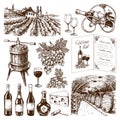 Traditional vinery production hand drawn Royalty Free Stock Photo