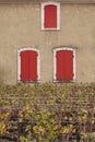 Traditional vineyard agriculture in Bordeaux. Winery in Aquitaine, France