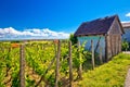 Traditional vineyard and cottage in Vrbovec