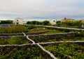 Traditional vineyard at Terceira island, Azores, Portugal