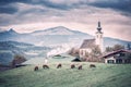 Traditional Vintage Alpine Rural Landscape