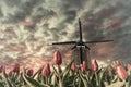 Vintage landscape with tulip fields and windmill Royalty Free Stock Photo