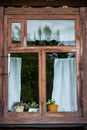 Traditional vintage old brown wooden frame window with curtains and flowers Royalty Free Stock Photo