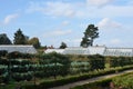 Traditional walled garden Royalty Free Stock Photo