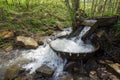 Traditional washing machine