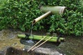 Traditional water spring with bamboo ladles in Japan Royalty Free Stock Photo