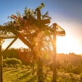 Traditional wedding Chuppah at sunset on grass Royalty Free Stock Photo