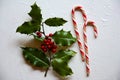 Tradition Christmas December festive scene with striped candy canes and holly Royalty Free Stock Photo