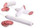 Traditional white salami sausage, sliced salami on white background.