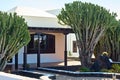 Traditional white spanish house with big Cactus in front Royalty Free Stock Photo