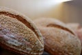 Traditional whole grain sourdough bread