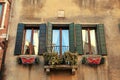 Traditional windows of typical old Venice building ,Italy. Royalty Free Stock Photo