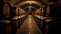 Traditional wine cellar with rows of oak wine barrels along a path leading to a cabinet at the end Royalty Free Stock Photo