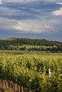 Traditional wine cellars (Gombos-hegyi pincesor) in Hercegkut, UNESCO site, Great Plain, North Hungary